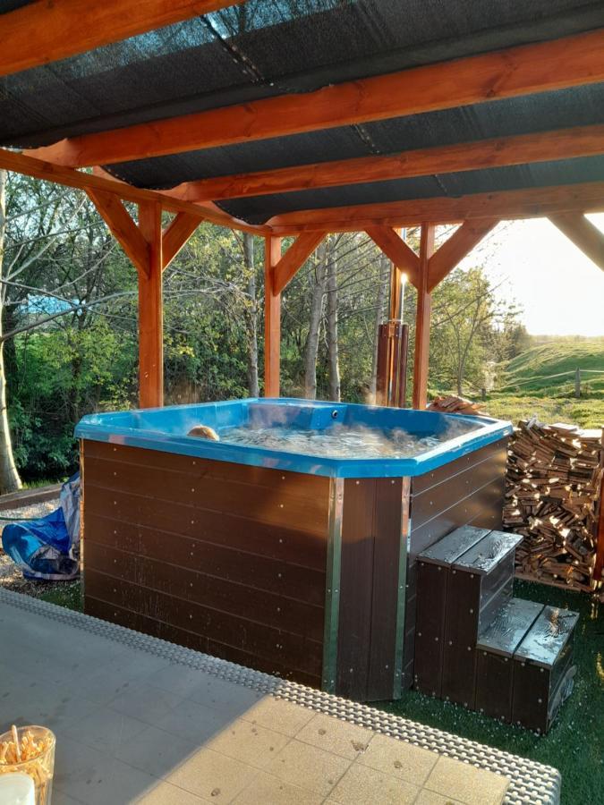 Bed and Breakfast Pensjonat Agroturystyczny Pod Modrzewiem Florczaki Exteriér fotografie