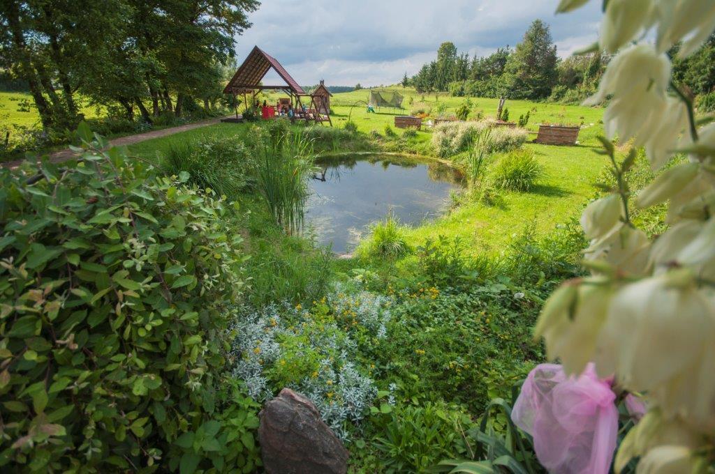 Bed and Breakfast Pensjonat Agroturystyczny Pod Modrzewiem Florczaki Exteriér fotografie
